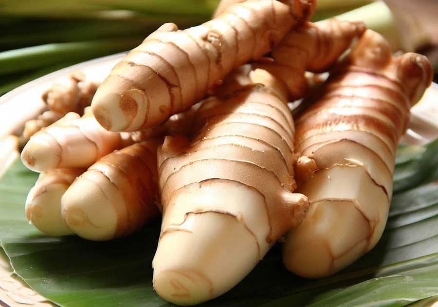 What Is Galangal? The Root Used in Thai Food
