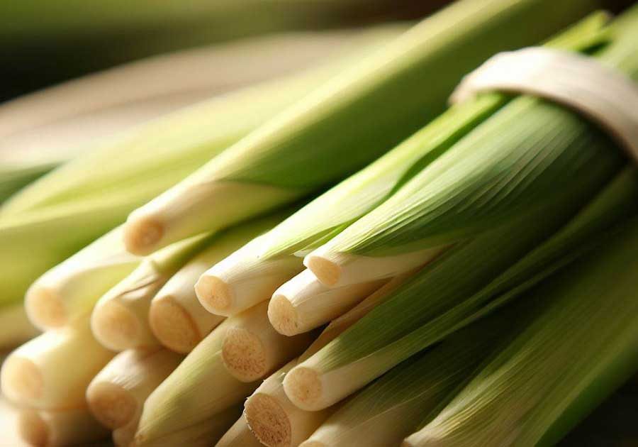What Is Lemongrass?