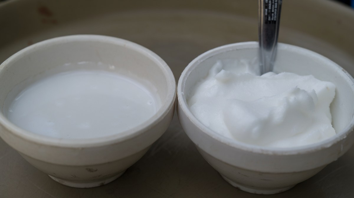 Two bowls side by side, thin pourable coconut milk beside thick coconut cream holding its shape