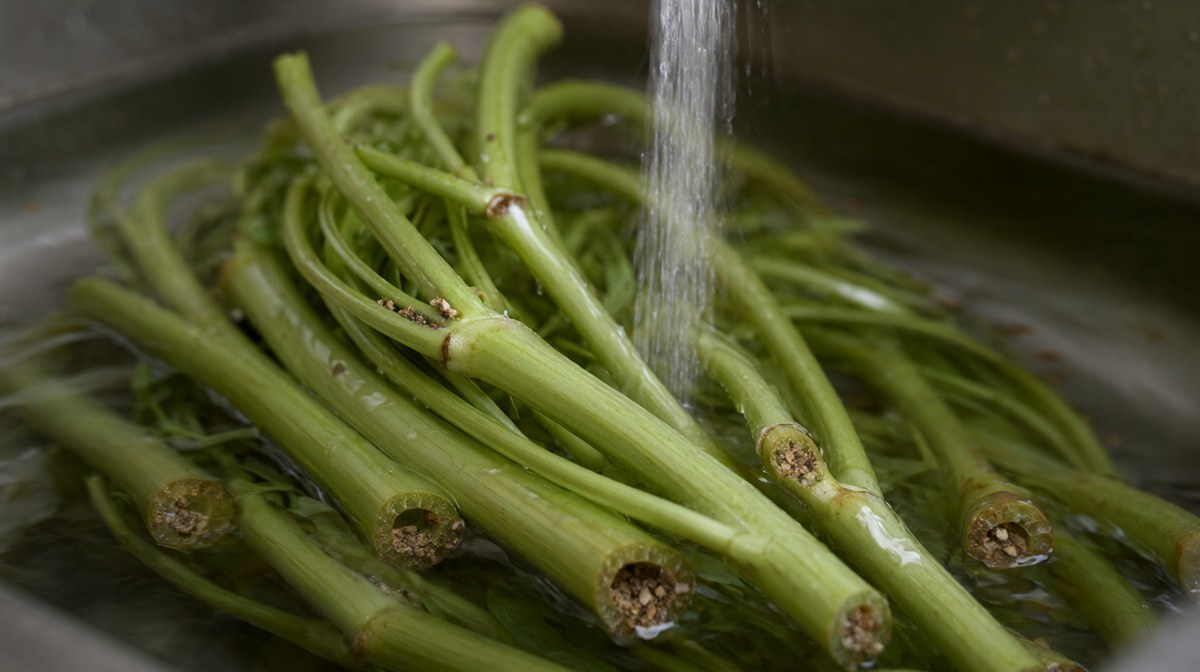 A large bunch of water spinach being swirled and rinsed in a sink, grit visible in the hollow stems