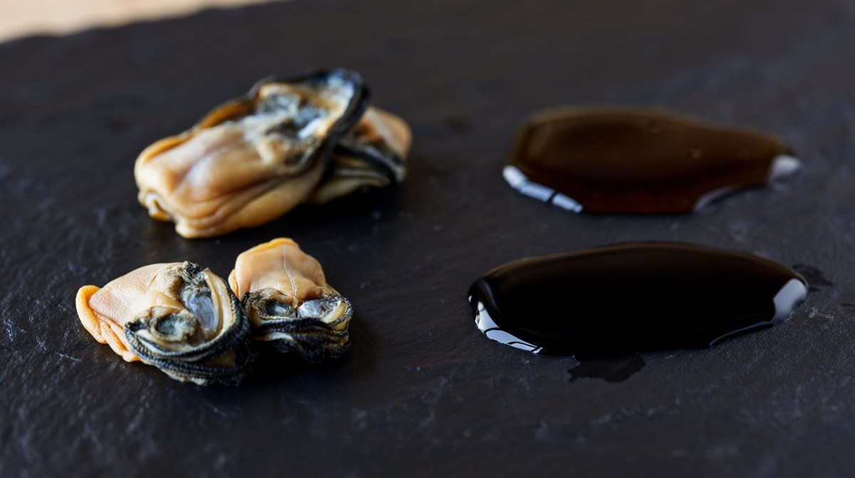 The components of a dark savoury sauce laid out separately on a dark slate surface