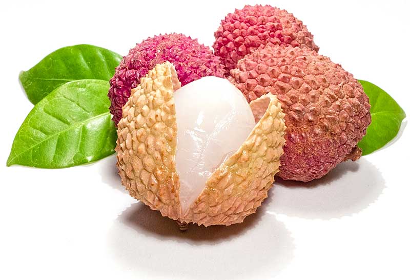 Lychees From Northern Thailand