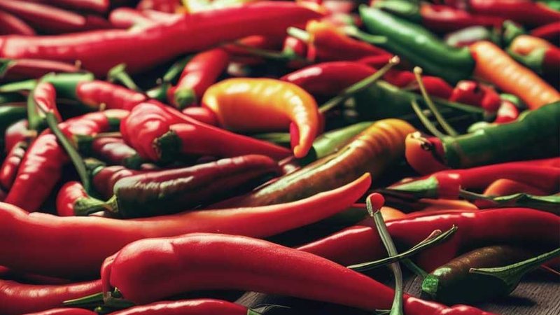 Spicy Thai red chilies used in authentic Thai cuisine