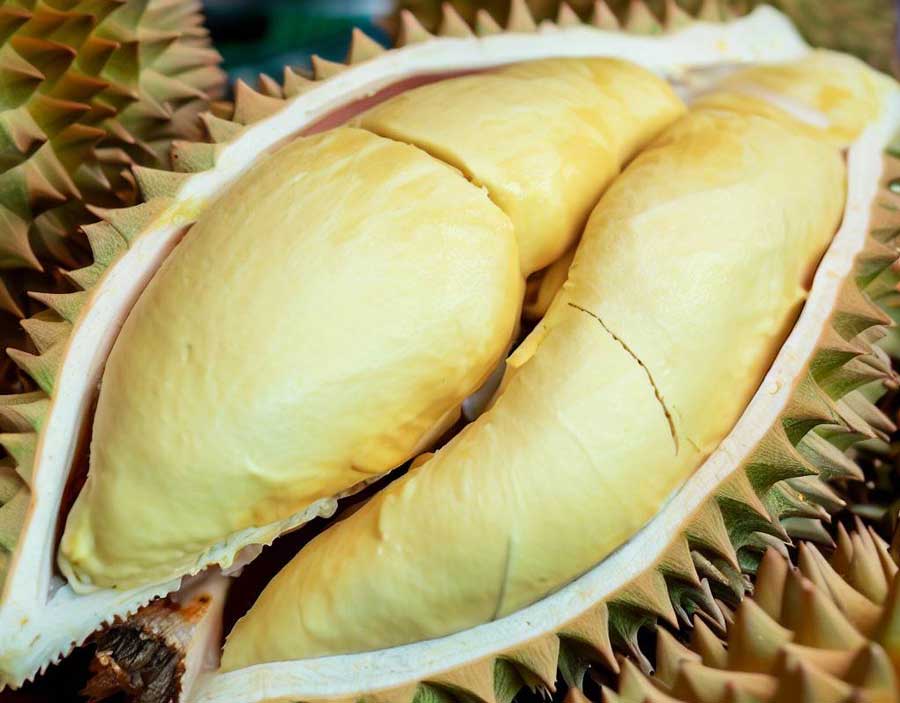 Fruit 1 - Durian