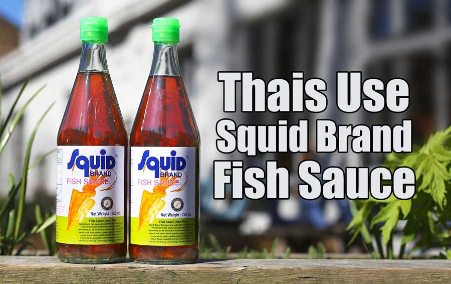 squid fish sauce