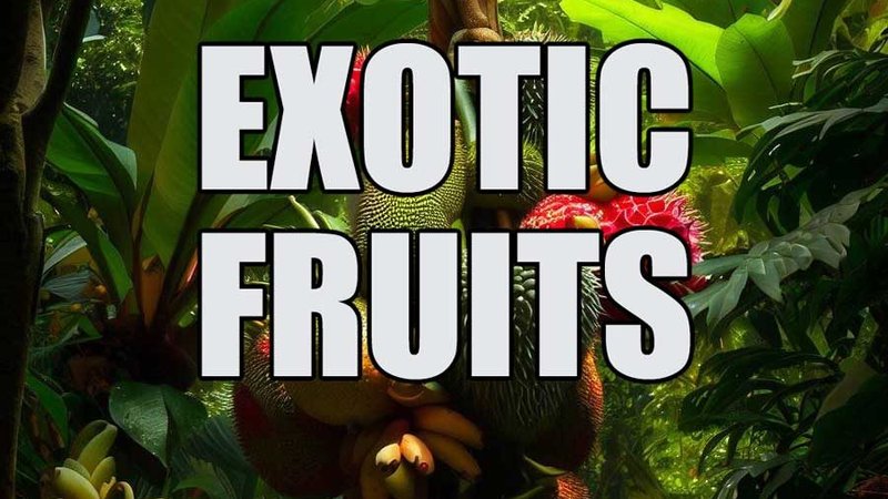 Colourful selection of exotic tropical fruits from Thailand
